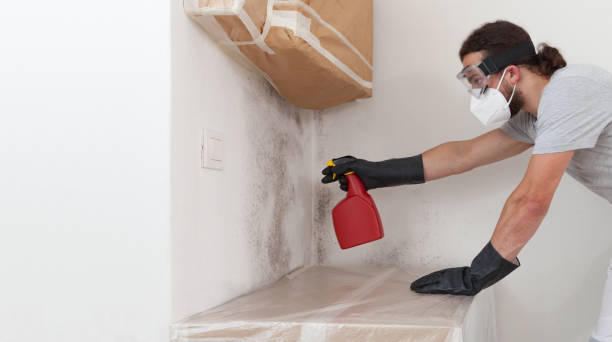 Professional Commercial Mold Remediation technician working in Seaford, NY